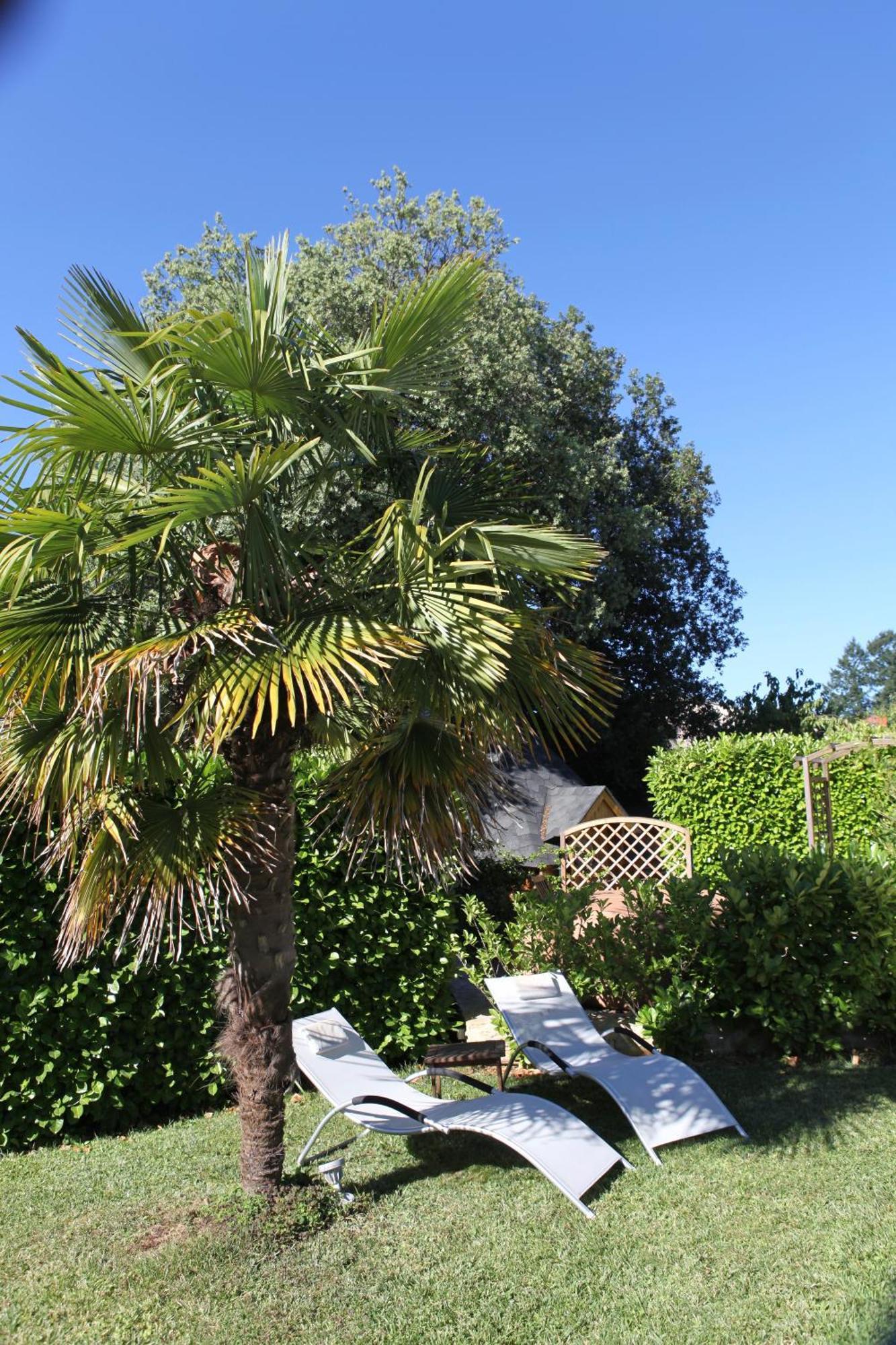 Le Relais Des Anges Bed & Breakfast Mercues Bagian luar foto